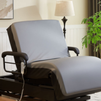 EzLift Bed Sleep To Stand Adjustable Lift Bed